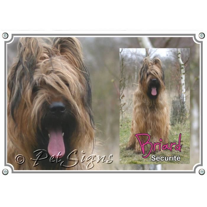 FR-20507 panneau d'avertissement métallique Wachschild BRIARD Berger de Brie - DIN A3