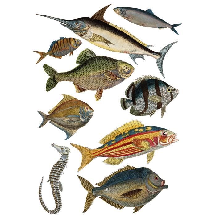 PLAGE Sticker déco - Retour de pêche1 Planche 48 x 68 cm