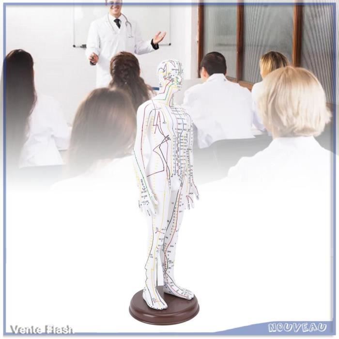Poupée D’acupuncture Pédiatrique – Modèle D’entraînement Pour Points D’acupression