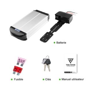 Pour Gudereit ET-13.5 Evo, Lion Vélo Électrique Batterie 36V 20Ah (725Wh