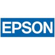 Scanner portable EPSON WorkForce DS-310 - Résolution optique 600 dpi - Recto-verso automatique - USB-0