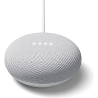 Enceinte intelligente GOOGLE Nest Mini - Galet - Gris - Wi-Fi Bluetooth 5.0 - Assistant Google Nest mini