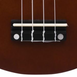 Ukulele avec Sac de Rangement pour Enfants débutants Dilwe 21 Pouces Ukulele en Bois 