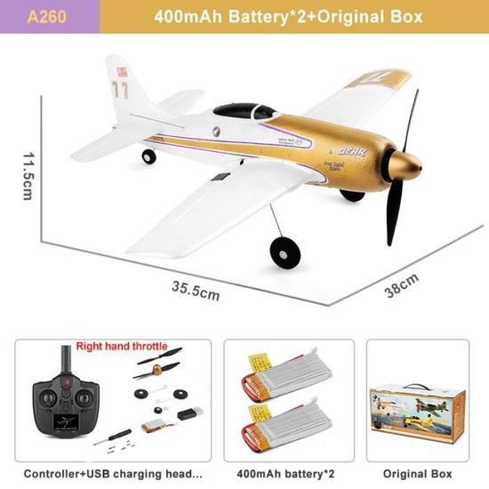 Avion RC A800 – 5 Canaux 2.4GHz, Mode 3D/6G, 2 Batteries, Planeur EPO Facile à Piloter, Dès 14 Ans