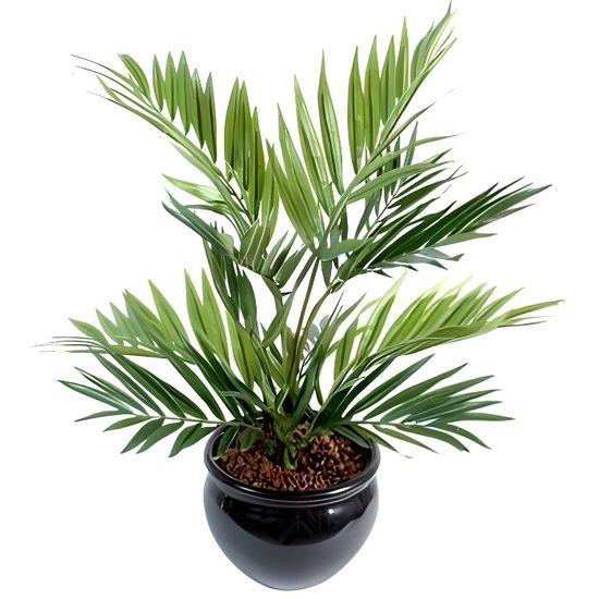 Palmier Artificiel Plante Artificielle Chamaeodorea Petit Palmier 50cm Cdiscount Maison