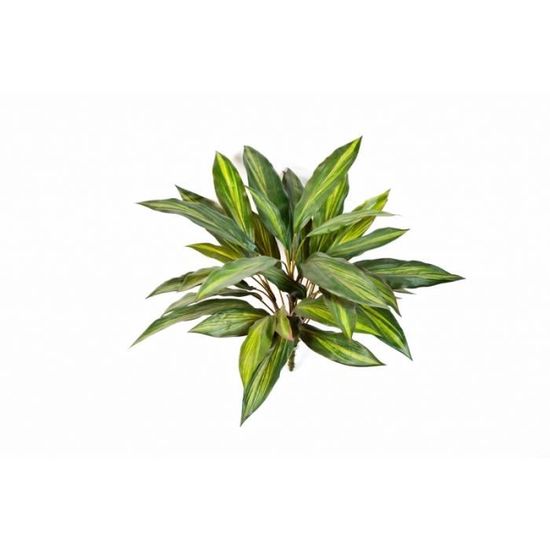 Plante Artificielle Dieffenbachia Feuilles Brunes-40 cm