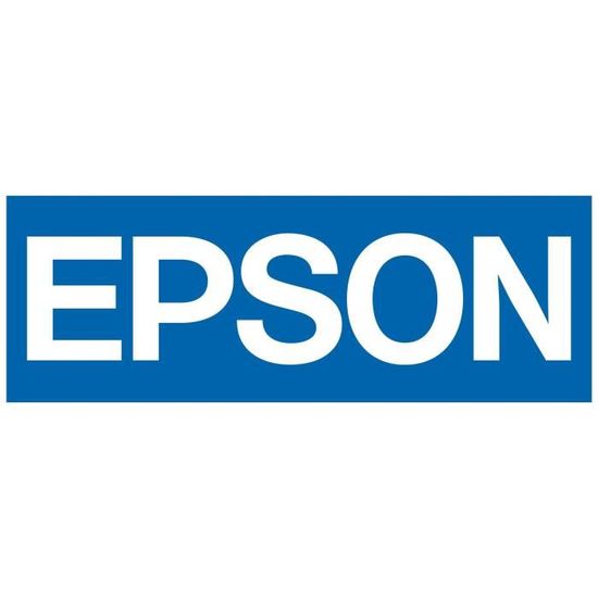 Scanner portable EPSON WorkForce DS-310 - Résolution optique 600 dpi - Recto-verso automatique - USB