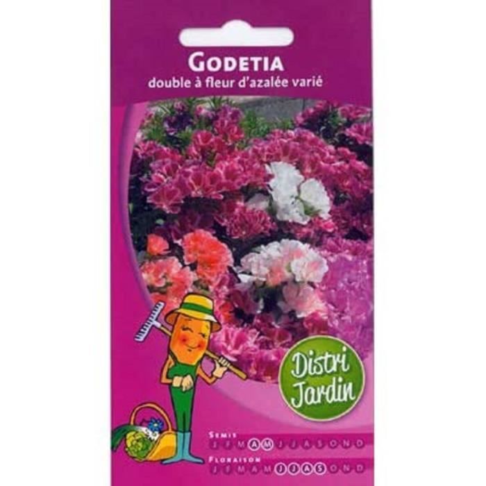 Graines de Godetia double à fleur d'azalée variée