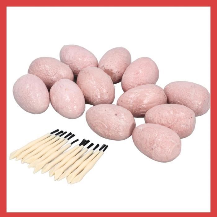 Kit De Fouilles Dinosaures - 12 Œufs à Creuser Avec Outils - Jeu Archéologie Enfant 6 Ans Et Plus - Cadeau Éducatif