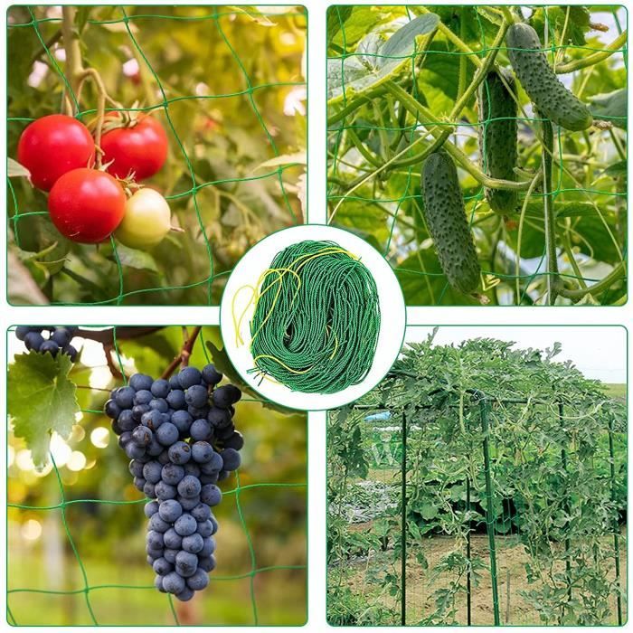 Filet à Plantes Grimpantes 1.8x3.6m - Treillis Jardin Maille 10cm | Support Pour Légumes & Fleurs Grimpantes