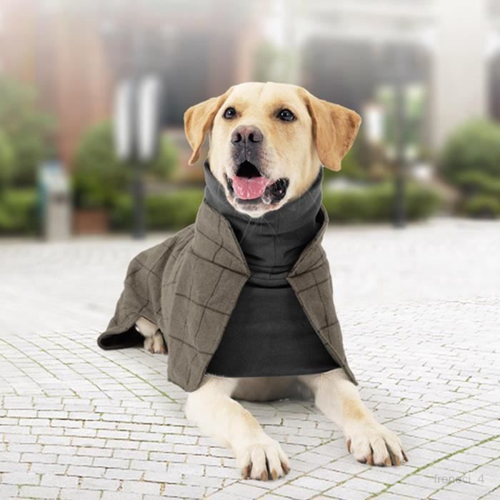 Tenue pour chien store