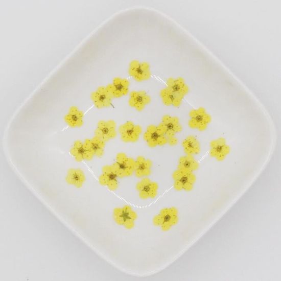 Yellow -Mini plante de jonquille séchée pressée,60 pièces,pour résine  époxy,bijoux,marque page,carte postale,nail art,bricola - Cdiscount  Beaux-Arts et Loisirs créatifs