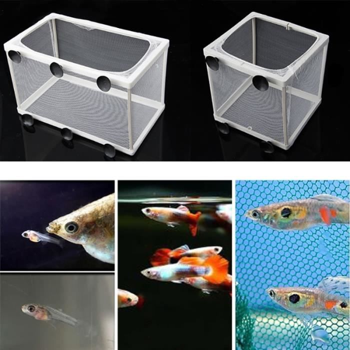 Aquarium,Aquarium à poissons Guppy Guppy, élevage de poissons, piège à gaze pour bébés, boîte isolateur S-L - Type S