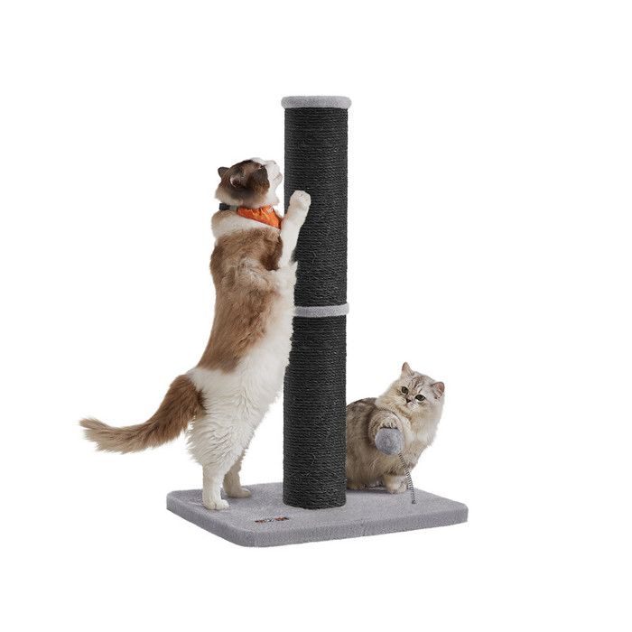 Griffoir pour Chat 85 cm de Haut Moyens et Larges Chats Pompom à Ressort avec Clochette Noir dencre
