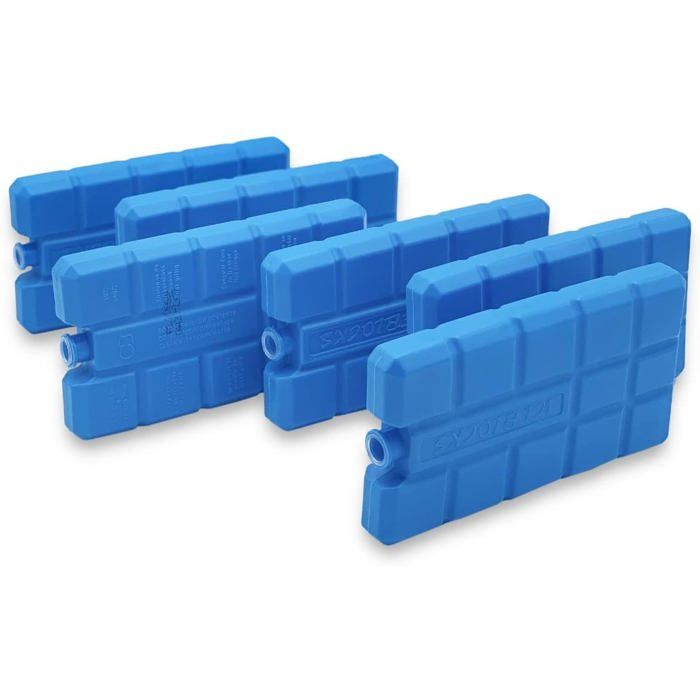 En plastique bloc de glace pour vaccin refroidissement transport glace Alibaba.c