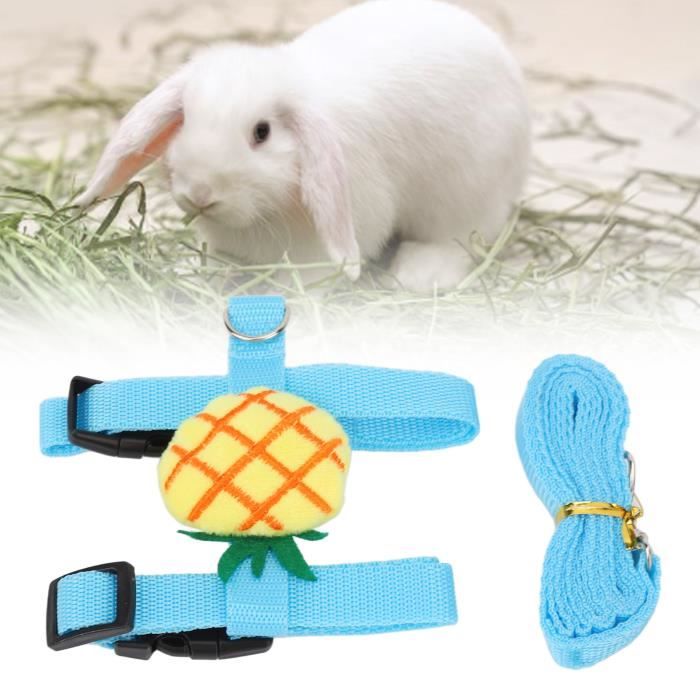 laisse de harnais de lapin harnais de lapin laisse h en forme d'ananas design harnais de lapin set de c animalerie jouet