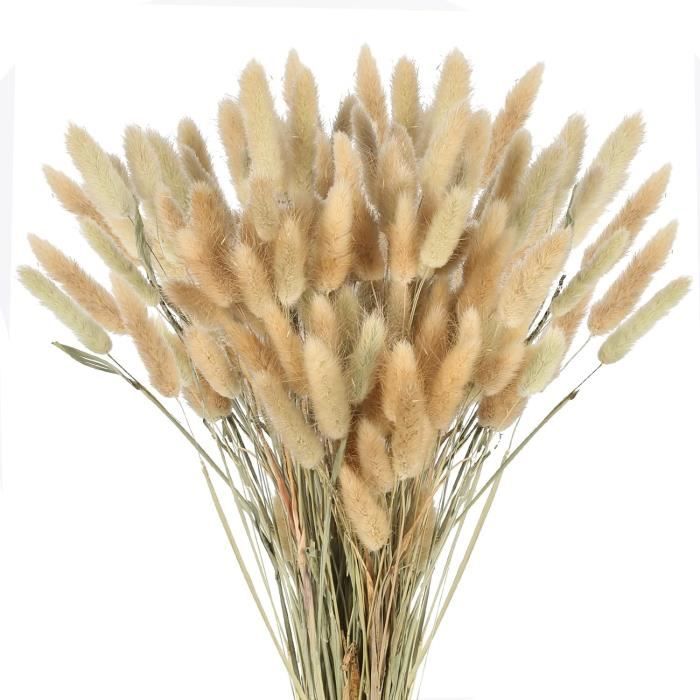 120 Herbes De La Pampa Séchées Roses - 43/37/31cm - Décoration Bohème Maison Ou Mariage