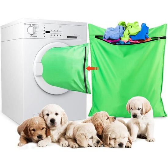 Linge pour chien online