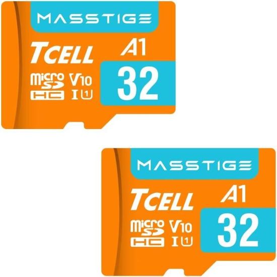 Carte Mémoire Industrielle GIGASTONE 32Go - Endurance 10x - Pour Dashcam/Surveillance - Lot De 2