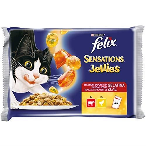 Felix PURINA Sensations Jellies Humide Chat avec bœuf et Poulet - 40 sachets de 100 g chacun (10 boîtes de 4 x 1 761303494373