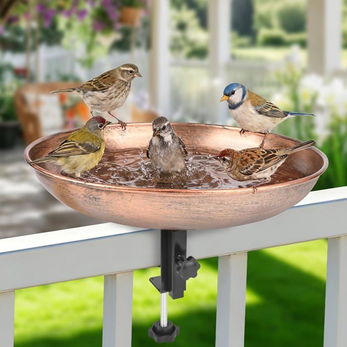 Mangeoire et abreuvoir oiseaux 2 en 1 en fonte - résistant au gel - grand diamètre 30 cm - base 5 branches - balcon jardin