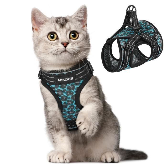 Harnais pour petit chien motif léopard ajustable| Léopard Chic