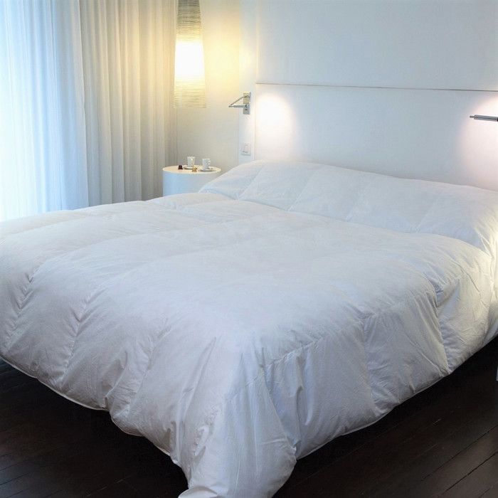 CASTEX COUETTES NATURELLES Couette -  - King size 280x240 cm - Duvet de Canard - Blanc 