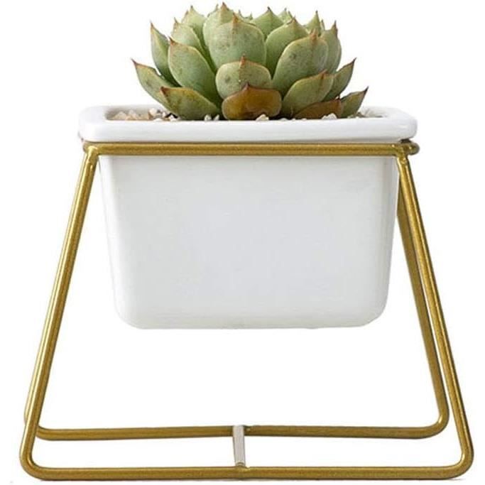 Support De Plantes Intérieur/extérieur En Métal - Pour Plusieurs Pots - Design élégant Et Gain De Place - Salon, Balcon, Terrasse
