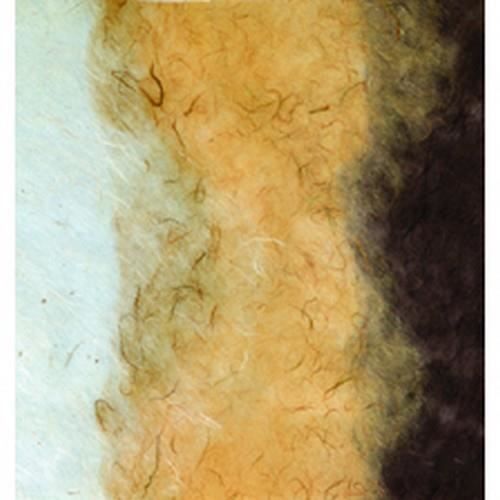 Avoir Images Papier Murier Degrade De Couleur Naturel Brun Achat Vente actualisé salutations