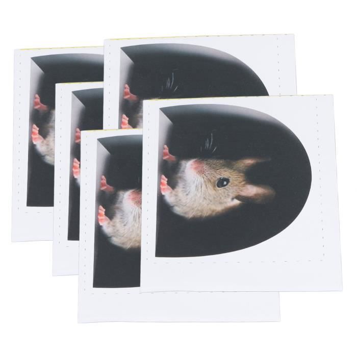 Piège nuisible,Piège à souris en plastique réutilisable, 6 pièces