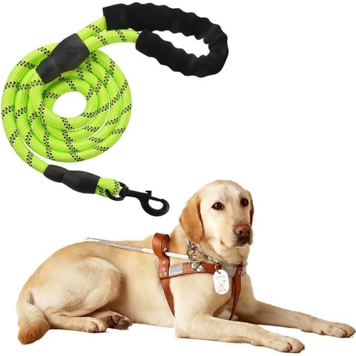 Comparer les prix de Laisse pour Chien en Nylon Réglable Solide Haute Qualité Réfléchissant 150cm - MINGMEI - Vert