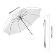 parapluie transparent-1