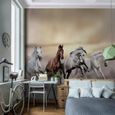 Tapisserie Tableau toile photo Chevaux désert Laine papier peint Salon Chambredécoration Peinture murale décor mural moderne-2
