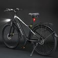 Vélo électrique Halo Knight H02 - Moteur Sans Balais 750 W - Batterie 48 V 16 Ah - Pneus 29 x 2,1 pouces - Autonomie Maximale 60 km-4