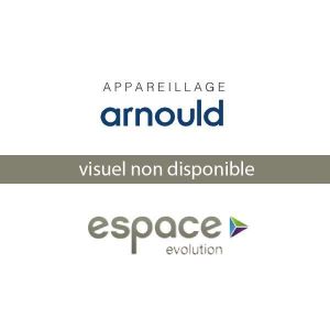 Plaque électrique Arnould Espace EVOLUTION PETROLE – Modèle Simple