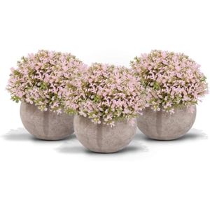 WINOMO Mini décoratifs simili Succulente artificielle Faux Simulation plantes avec pots de Blanc 3 pcs 