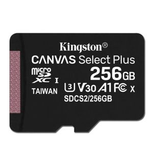 CARTE MÉMOIRE Carte mémoire Micro SD C10 - Kingston SDCS2 - 256 