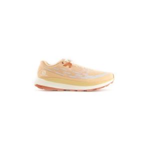 Chaussures de running femme salomon Cdiscount