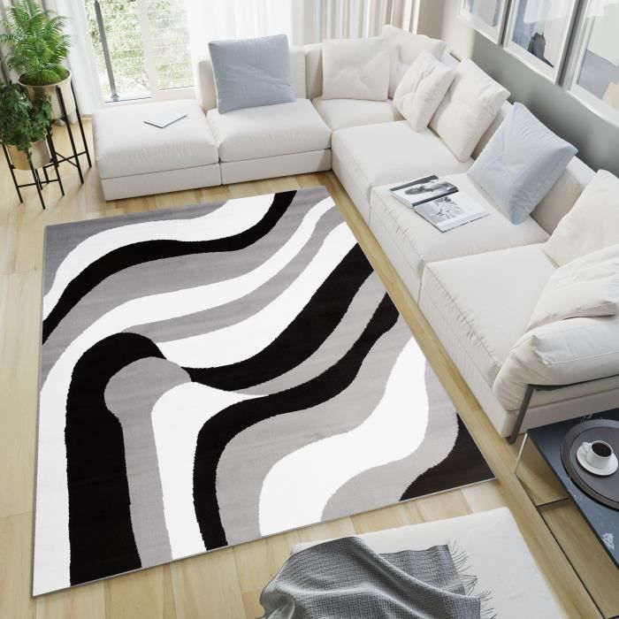 Grand Tapis Gris Clair De Luxe Pour Salon, Chambre À Coucher, Bureau