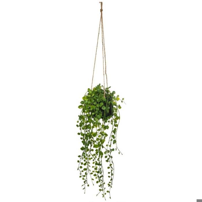 Plante Artificielle - Pot En Céramique - H16 Cm - Atmosphera Créateur D