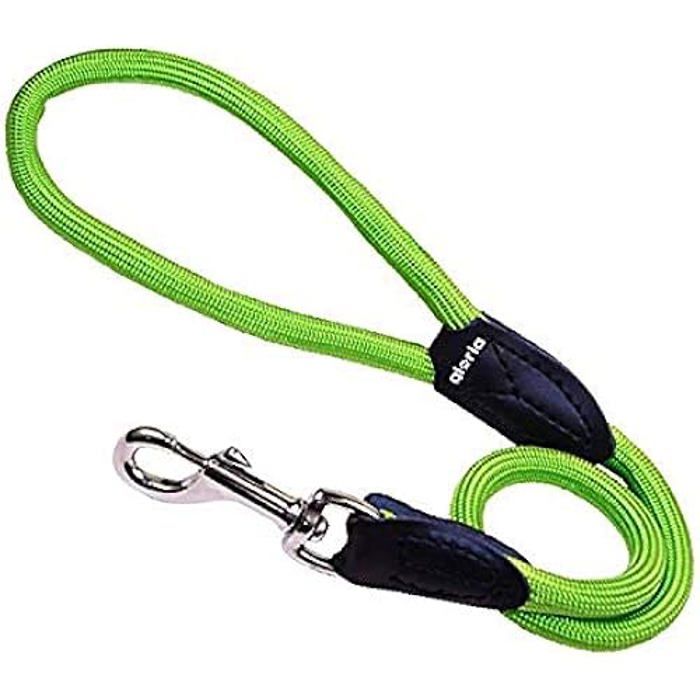 Meilleurs prix pour Ceinture de chien - GLORIA - Ronde en Nylon - 60 cm - Couleur verte - Durable