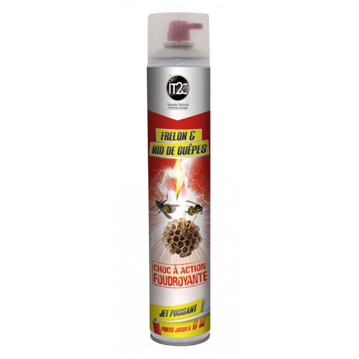 Insecticide Guêpes Frelons Longue Portée Lot De 2 - 750ml, Action Rapide, Pour Extérieur