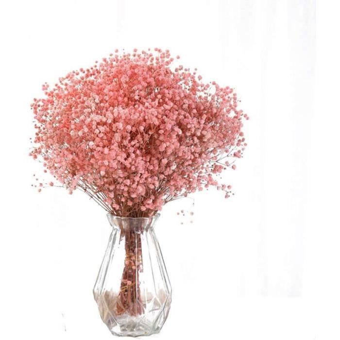 Fleurs séchées Gypsophiles étoilées pour décoration de mariage Fleurs  artificielles Matériau décoratif Herbe séchée 711 - Cdiscount Maison