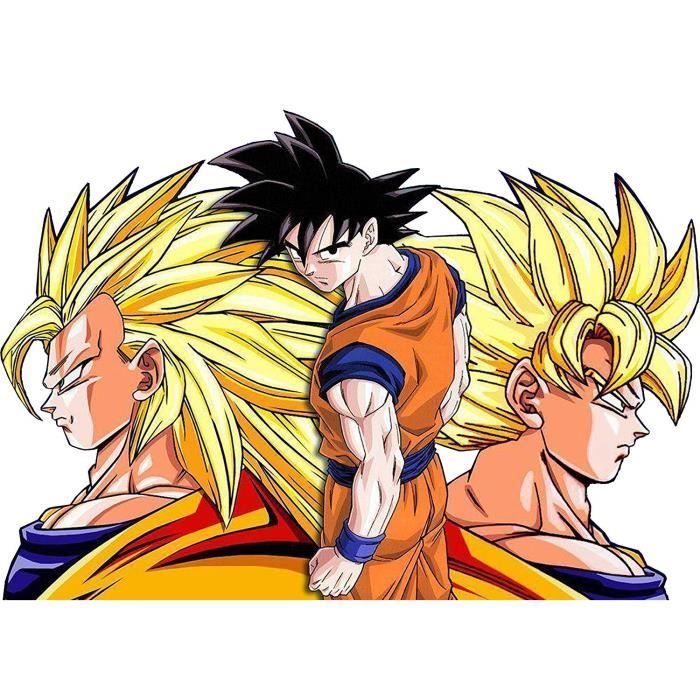 Dragon Ball Z Dbz 1 40x30 Cm Broderie Canevas Diamant Mosaique