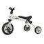 trotteur draisienne