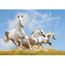 Edition Colibri Lot De 10 Cartes D Invitation Pour Anniversaire D Enfant Motif Chevaux Achat Vente Faire Part Invitation Edition Colibri Lot Cdiscount