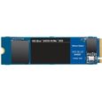 WD Blue™ - Disque SSD Interne - SN550 - 1To - M.2 NVMe (WDS100T2B0C)-0