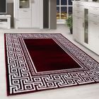 Homebyhome Tapis moderne à poils ras, tendance Rouge Tapis 200x290 cm conception de méandres, tapis moelleux