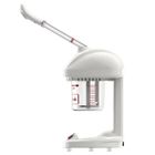 Machine de pulvérisation ionique avancée pour la peau SURENHAP - Vapeur pour le visage anti-rides - Blanc