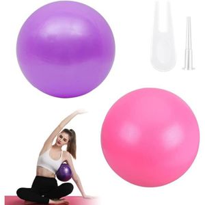 BALLON SUISSE-GYM BALL Mini Ballon Pilates,Ballon de Gym Yoga,Givré Ballo
